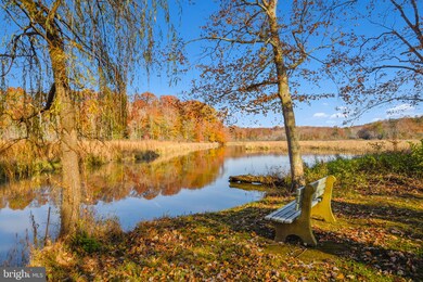 12144 Palisades Dr, Dunkirk, MD 20754 - photo 7