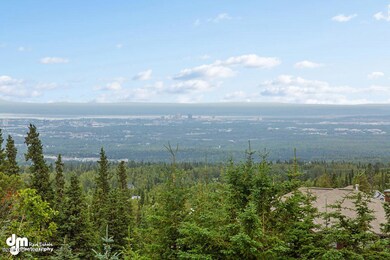View_DMD_5246-SMALL