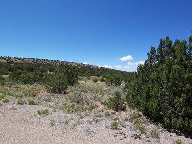 786 Highway 165, Placitas, NM 87043 - photo 6