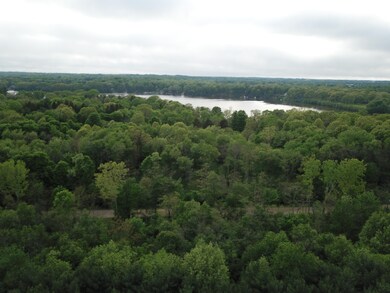 0 Casey Ln unit 3 19010909, Berrien Township, MI 49103 - photo 3