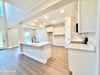 3207 Song Sparrow Dr, Maryville, TN 37803 - photo 7