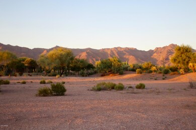 3873 S Gambel Quail Way unit 14, Gold Canyon, AZ 85118 - photo 2