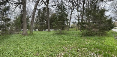 9513 Forest Place, Des Plaines, IL 60016 - photo 6