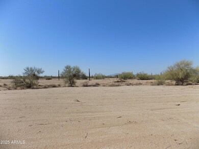 1.25 E Tbd-Cactus Forest N Reed Lot2 Rd unit 2, Florence, AZ 85132 - photo 6