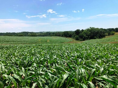 98.33 acres Pikes Peak Rd, Lancaster, WI 53813 - photo 6