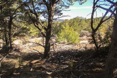 Marenman Rd, Fort Garland, CO 81133 - photo 3