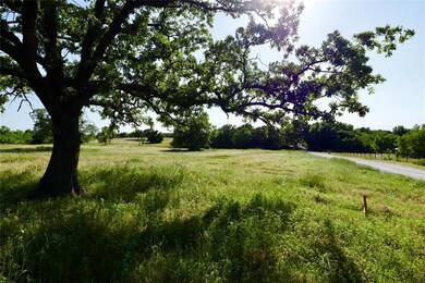 Lot 5 Pr 3814, Springtown, TX 76082 - photo 6