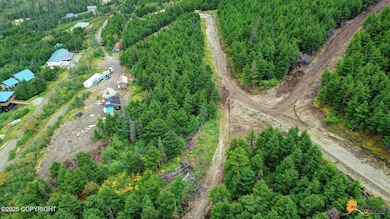 8460 Paine Rd, Anchorage, AK 99516 - photo 7