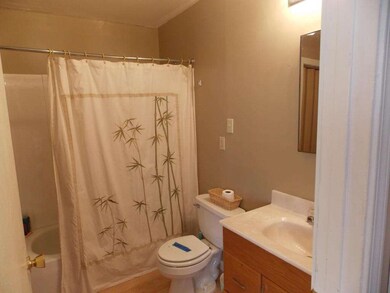 2073 thousand pines 009