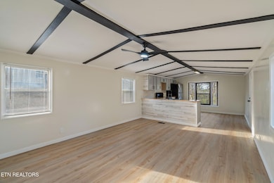 817 Vanessa Way, Heiskell, TN 37754 - photo 5