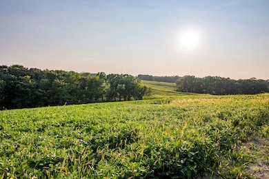 State Highway D (82 1+ - Acres unit Tract 4, Eolia, MO 63344 - photo 6