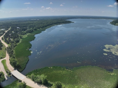 14413 Blueberry Bridge Rd, Menahga, MN 56464 - photo 7