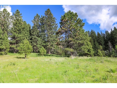 0 Highway 3 St unit 23058297, Enterprise, OR 97828 - photo 7