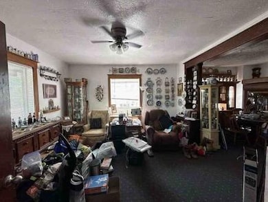 29 E 16th St, Holland, MI 49423 - photo 6