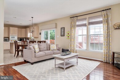 102 Egypt Farms Rd, Owings Mills, MD 21117 - photo 6