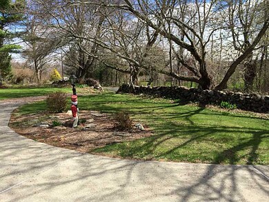 Yard/Garden.
