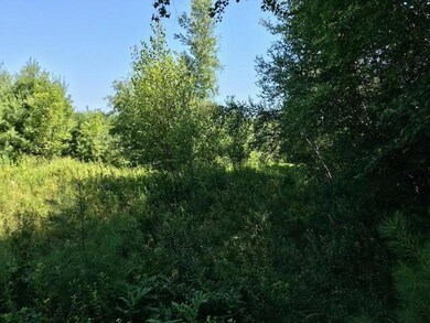 0 Hampshire St, Hiram, ME 04041 - photo 6