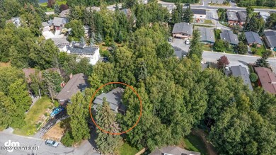 Aerial-house and lot above