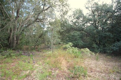 4344 N Indianhead Rd, Hernando, FL 34442 - photo 6