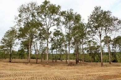 11.35ac Buddy Finch Rd, Lucedale, MS 39452 - photo 7