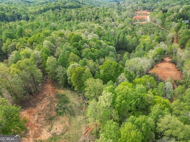 3484 Baker Rd, Gainesville, GA 30507 - photo 4