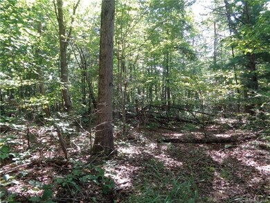 51 Morning Star Dr unit 27, Leicester, NC 28748 - photo 2