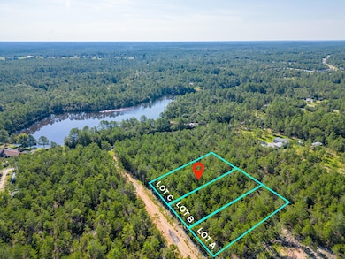 LOT C1