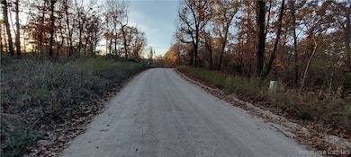 4268 Saw Mill Rd, Unincorporated, MO 65078 - photo 2