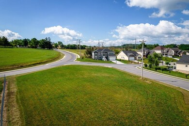 690 Pear St, Harrisonburg, VA 22801 - photo 7