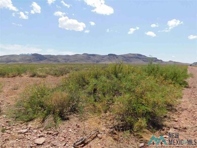 - Dr Unit 105 Bk 7, Deming, NM 88030 - photo 3