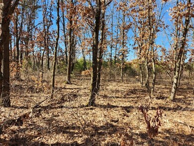 0 Koval Rd unit 22500378, Lyndon Station, WI 53944 - photo 5