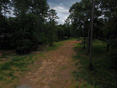 28332 Meadow Forest, Magnolia, TX 77355 - photo 3