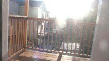 97 Magnolia Ave unit 2, Jersey City, NJ 07306 - photo 6