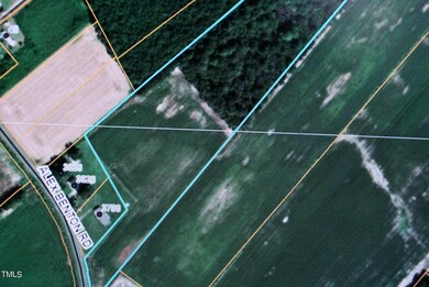 3724 Alex Benton Rd, Newton Grove, NC 28366 - photo 2