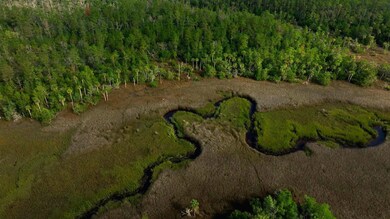 0 Georgetown Rd, Brunswick, GA 31523 - photo 4