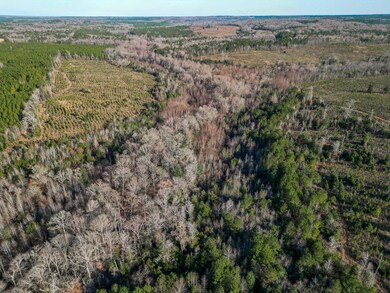 0 Rd, Lumpkin, GA 31815 - photo 2