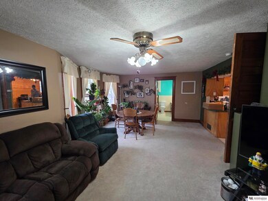 1175 N Locust St, Wahoo, NE 68066 - photo 6