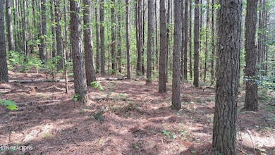 Lot 14 Airport Rd (Pca), Rockwood, TN 37854 - photo 4