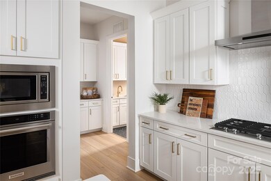 5301 Mint Harbor Way unit 315, Charlotte, NC 28269 - photo 7