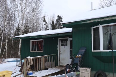 15939 County Road 536, Nashwauk, MN 55769 - photo 4