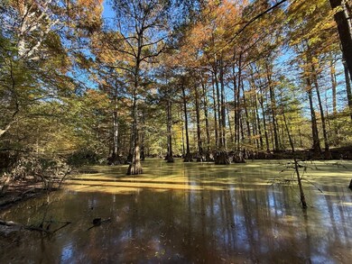 0 Highway 19 unit 25580670, Kosciusko, MS 39090 - photo 2