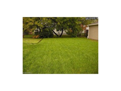 LARGE BACKYARD