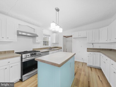 16445 Whitesville Rd, Delmar, DE 19940 - photo 6