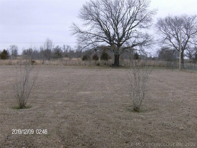 Back yard.