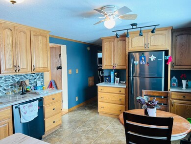 312 W Garfield St, Pearl City, IL 61062 - photo 4