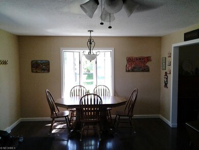 45 W Cedar St, Jefferson, OH 44047 - photo 7