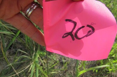 Labeled 20
