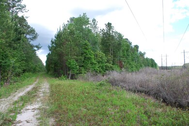 0000000000 Mill Creek SE, Bolivia, NC 28422 - photo 5