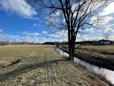 IMG_3536