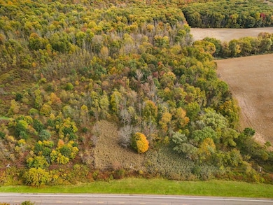 8188 Route 104 A, Wolcott, NY 14590 - photo 5